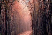 西甲第1輪奧薩蘇納0-0西班牙人 武磊迎留洋第100場正式比賽.