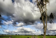 金年会体育官网入口:西甲第36輪阿拉維斯2-1西班牙人 德托馬斯點射難救主.