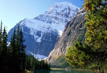 金年会体育官网入口:西甲第36輪阿拉維斯2-1西班牙人 德托馬斯點射難救主.